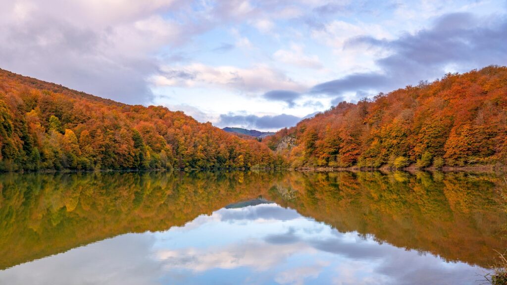 Autumn trees reflected in a still lake, symbolizing balance, healing, and letting go—core themes in trauma therapy and somatic counselling.