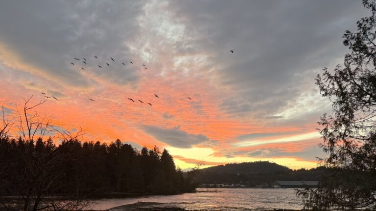 Soft sunset sky with warm orange and pink tones fading into blue, symbolizing gentleness, transition, and emotional regulation.